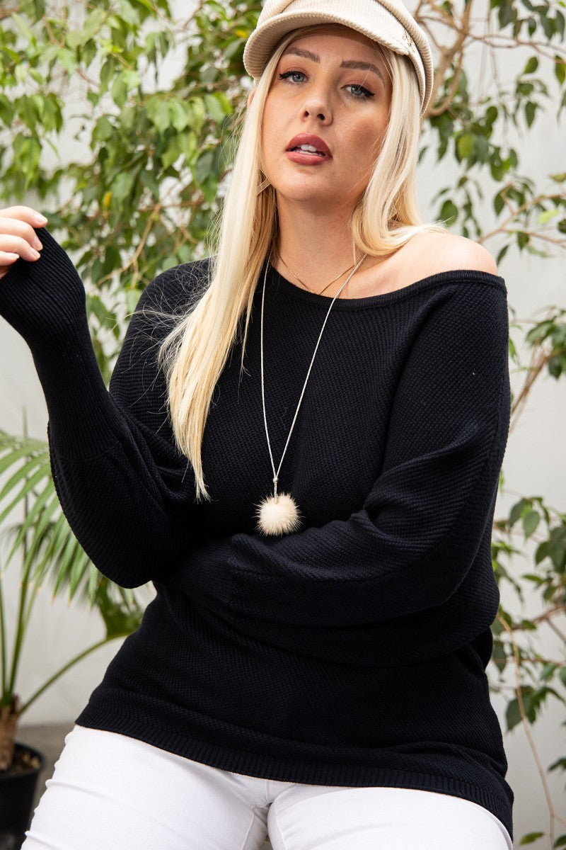 Daisy Long Sleeve Solid Sweater