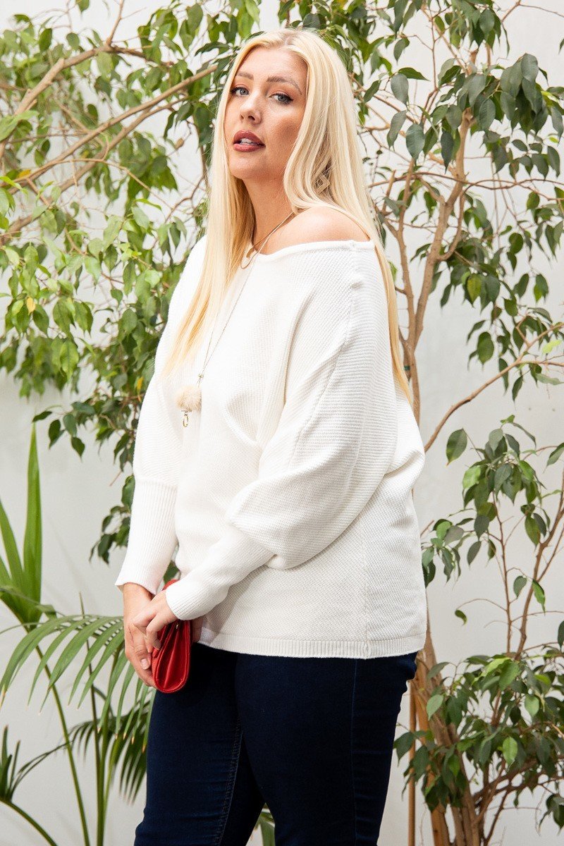 Daisy Long Sleeve Solid Sweater