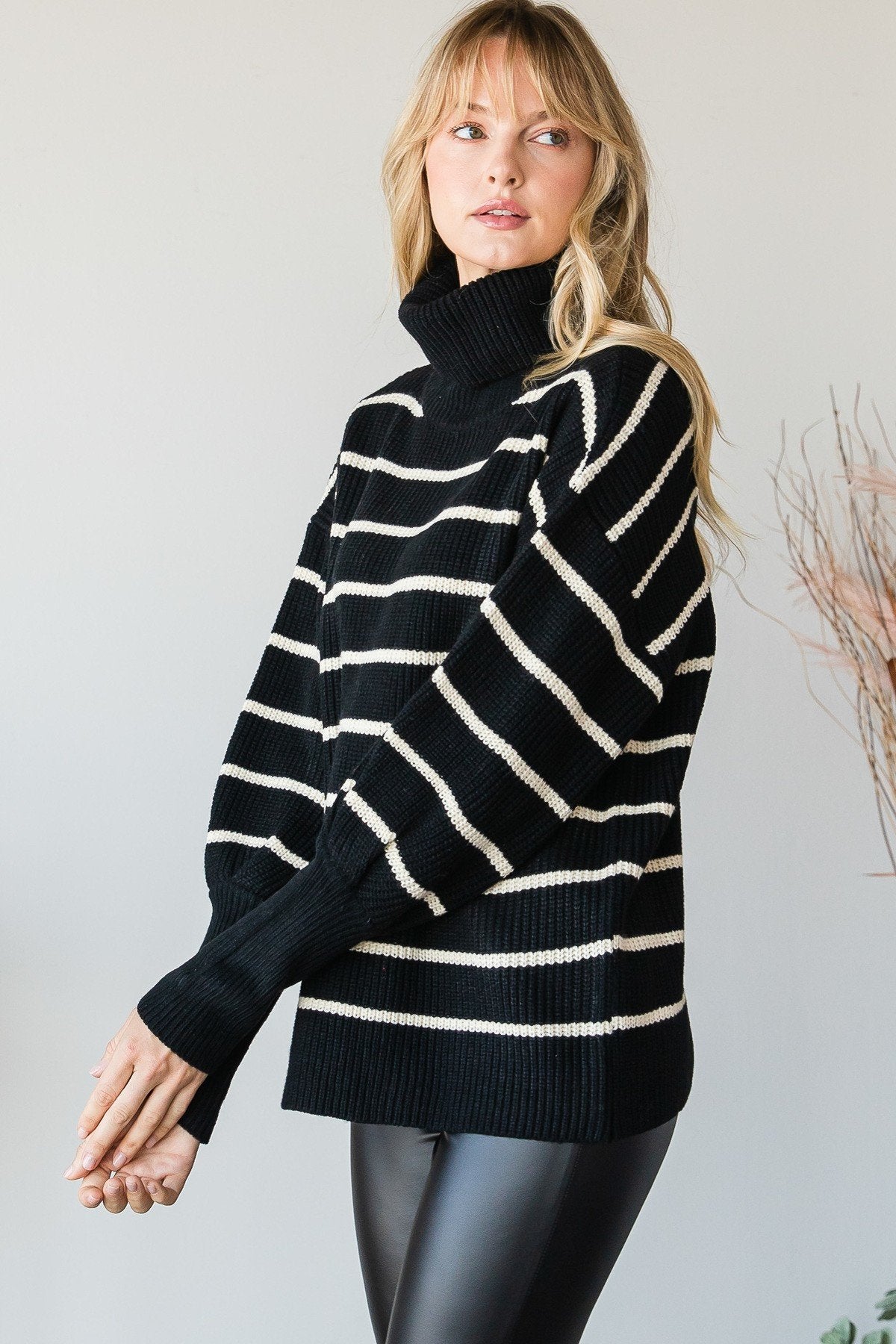 Knit Striped Turtle Neck Knit Sweater